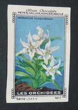 CHROMO PETER CAILLER KOHLER