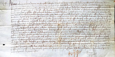 Parchemin XVI°  Acte notarié