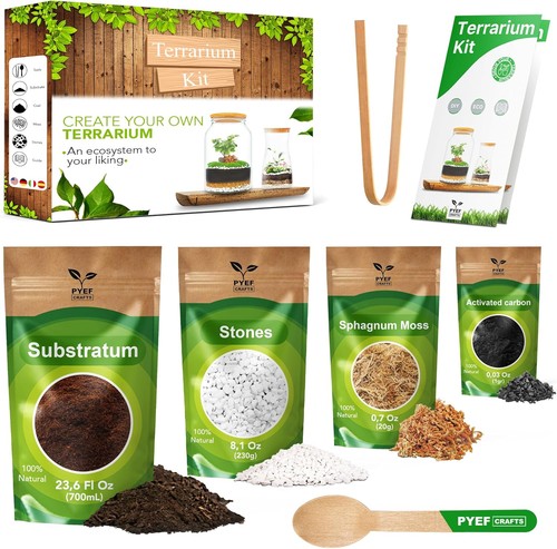 Diy terrarium kit plants - kit, –