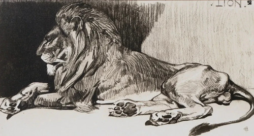 Mathurin meheut le - le, lion