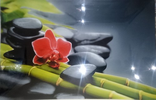 Service grandes assiettes - service,