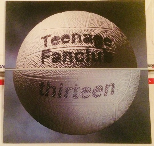 Teenage fanclub thirteen lp - teenage,