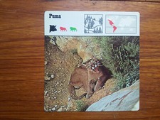 PUMA  Carte collection 1975 fiche animal  Editions rencontre  lobby card 