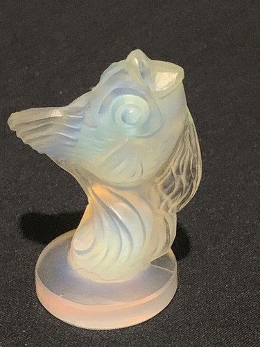 Poisson miniature sabino - poisson,