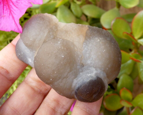 Calcédoine botryoïdale smara - botryoïdale,