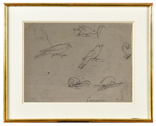 Dessin encre chine oiseaux - dessin,