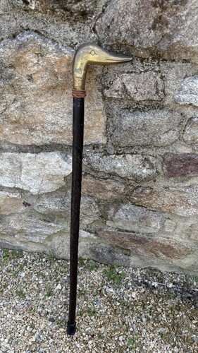 Rare charmante canne de - canne,