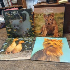 lot 4 livres  safari photo 