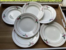 6 Assiettes plates   Salins