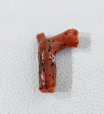 Branche de corail rouge