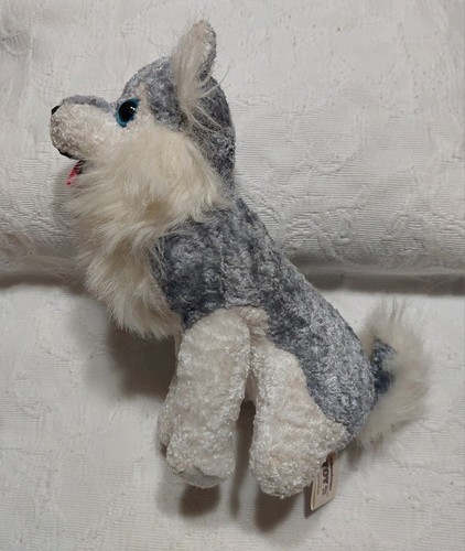 Raro braun siberiano husky dog - raro, husky,dog