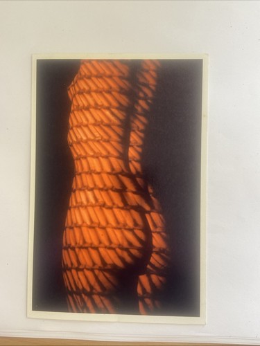 Carte postale artistique 15 - postale, nu