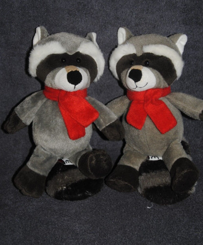 Doudou raton laveur - raton,