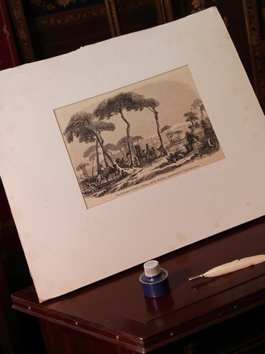 Gravure ancienne paysage