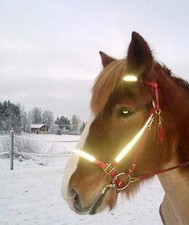 Tête de lit tête de lit réfléchissante Podium en Biothane Podium 