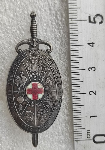 Guerre 1914 1918 insigne des - insigne,
