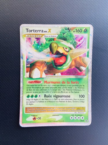 Carte pokémon torterra niv x - carte,