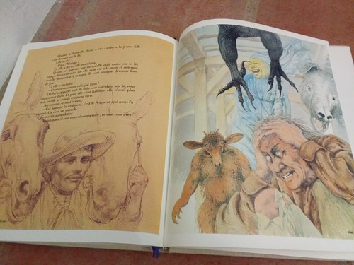 Beau livre illustre par akos - beau,