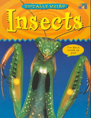 Livre insectes enfants nature - livre,