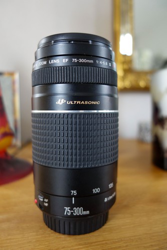 Objectif zoom canon 300 - zoom,
