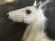 Cheval horse cabré marque DID pour figurine 1/6