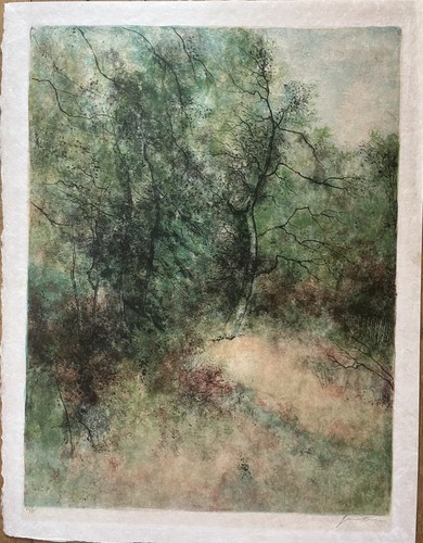 Clairière bernard - -,