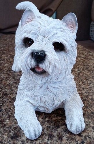 West highland terrier white - highland,