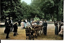 (S-40037) FRANCE - 76 - LE HAVRE CPA ATTELAGE DE CHEVRES TIRANT DES ENFANTS