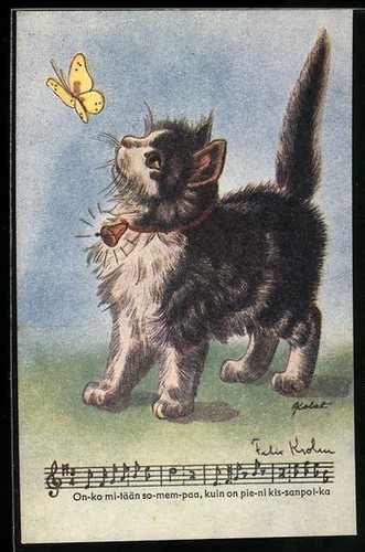 Carte postale artiste chaton - carte,