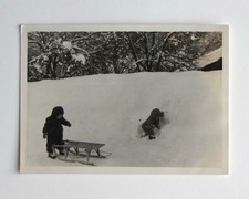 Enfants petits luge bois neige hiver moufles - Photo ancienne snapshot 1953