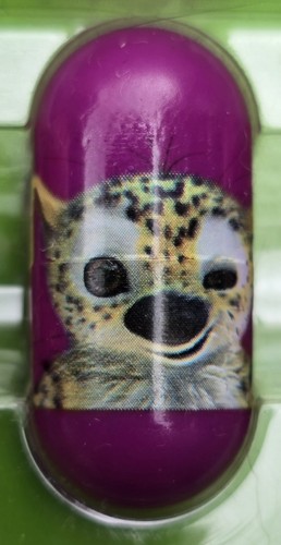 Marsupilami sur piste du - marsupilami, la