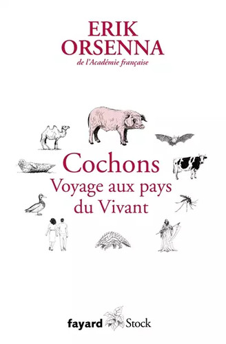 Cochons voyage aux pays du - aux,