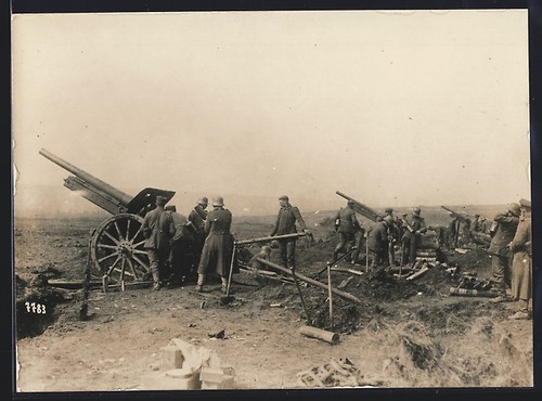 Photographie coupe du - coupe,
