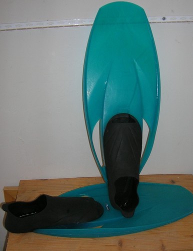 Palme natation de - palme,