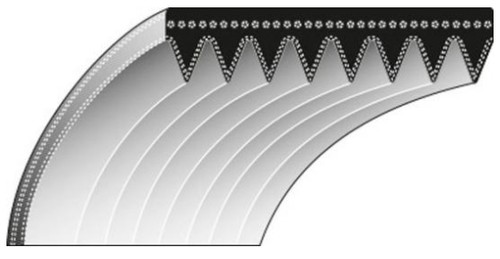Courroie lame denture interne - courroie,