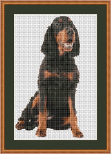 Gordon setter dog - cross, stitch