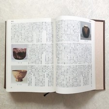 Dictionnaire asiatique de la