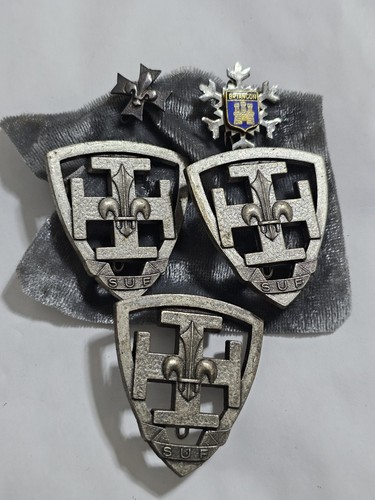 Lot insignes scout - lot, de