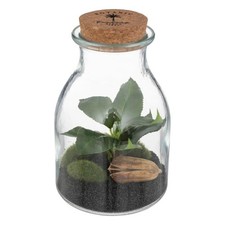 Terrarium en Verre "Bota" 19cm Transparent