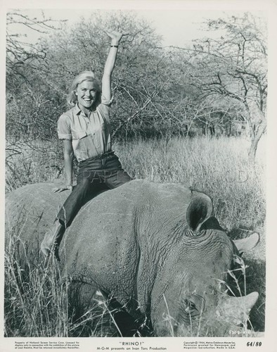 Shirley eaton rhino - eaton, rhino!