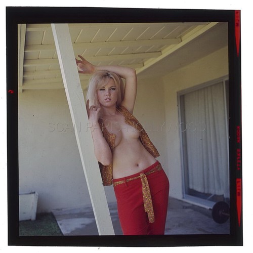 Sexy pin 1970s - sexy, transparent