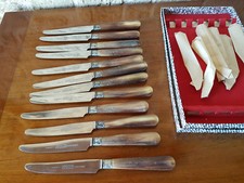 SERVICE DOUZE COUTEAUX APOLLO