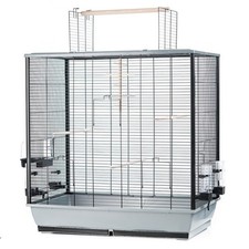 Grande Cage à Oiseaux Perruche Canaris Grande Perruche Avec Patio Et Accessoire