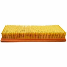 Cartouche Filtre Air Motoculteur Moteur Pour LOMBARDINI 2175-119