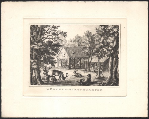 1900 rare gravure - rare,
