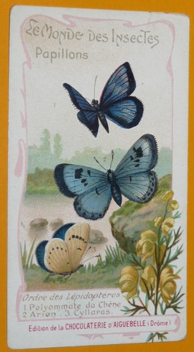 Chromo 1910 1930 chocolat - 1910-1930,