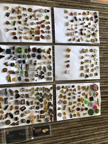 Pin lot 313 - pin's,