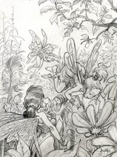 Dessin Original AOUAMRI