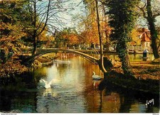 91 - Verrières le Buisson - Le lac - Cygnes - CPM - Voir Scans Recto-Verso