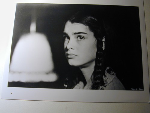 Brooke shields actrice - brooke,